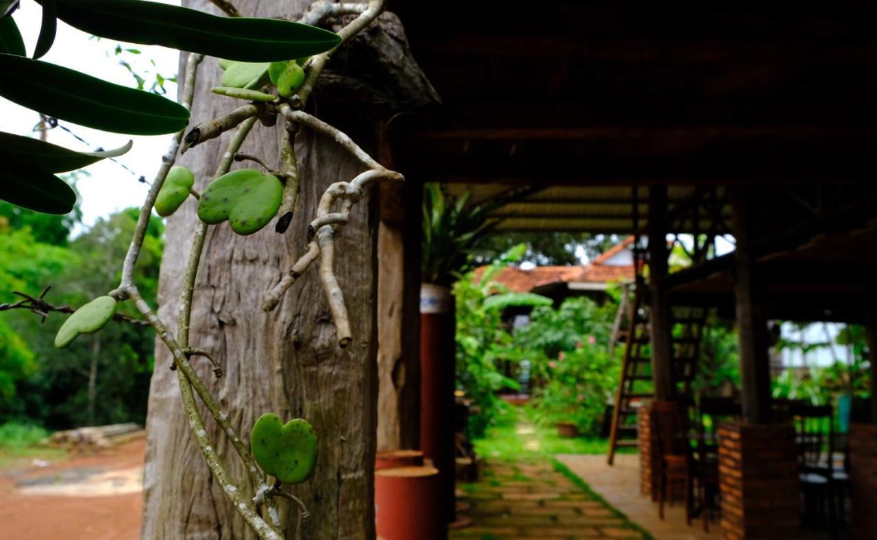 Plei Homestay & Cafe Pleiku Exteriér fotografie