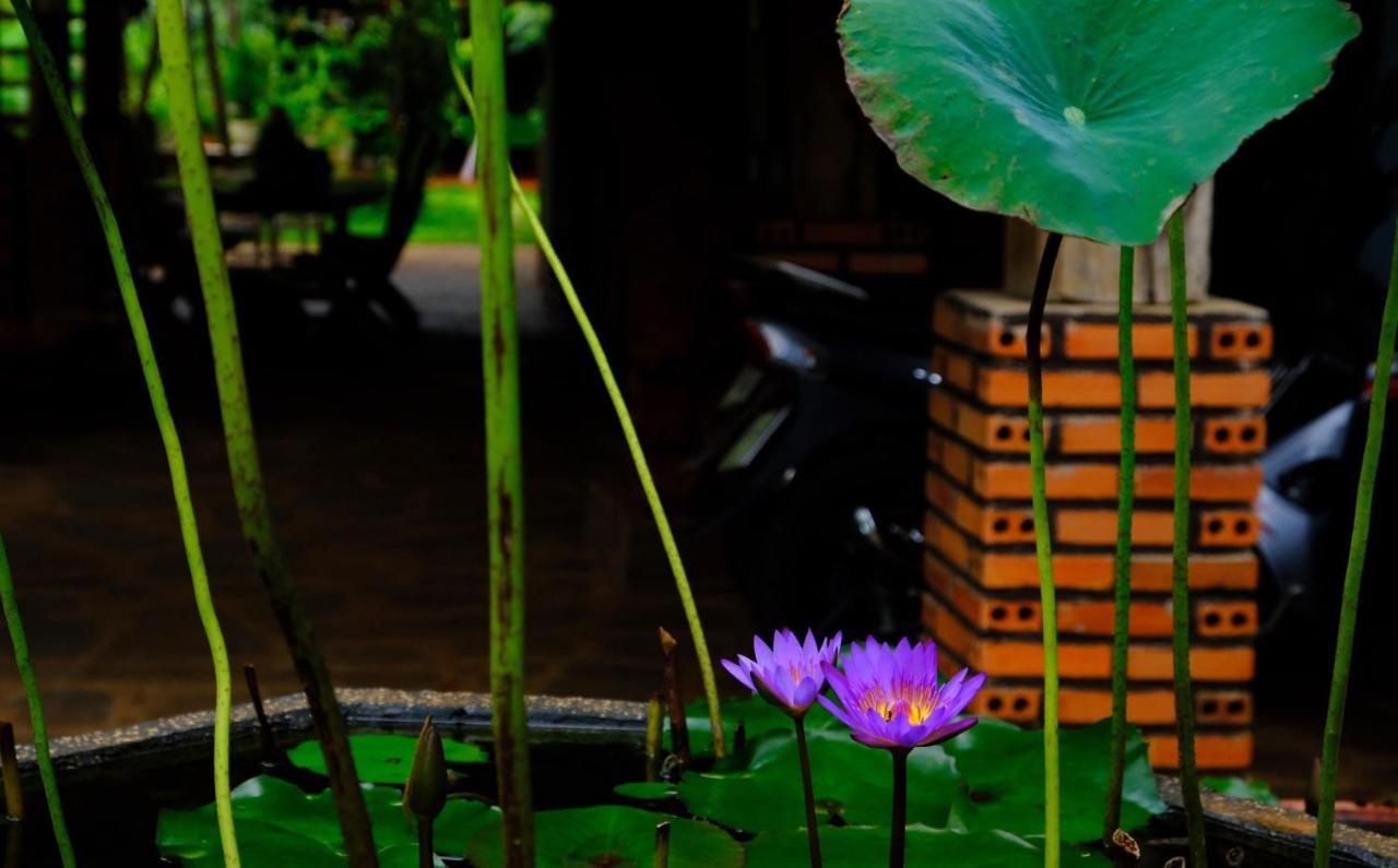 Plei Homestay & Cafe Pleiku Exteriér fotografie